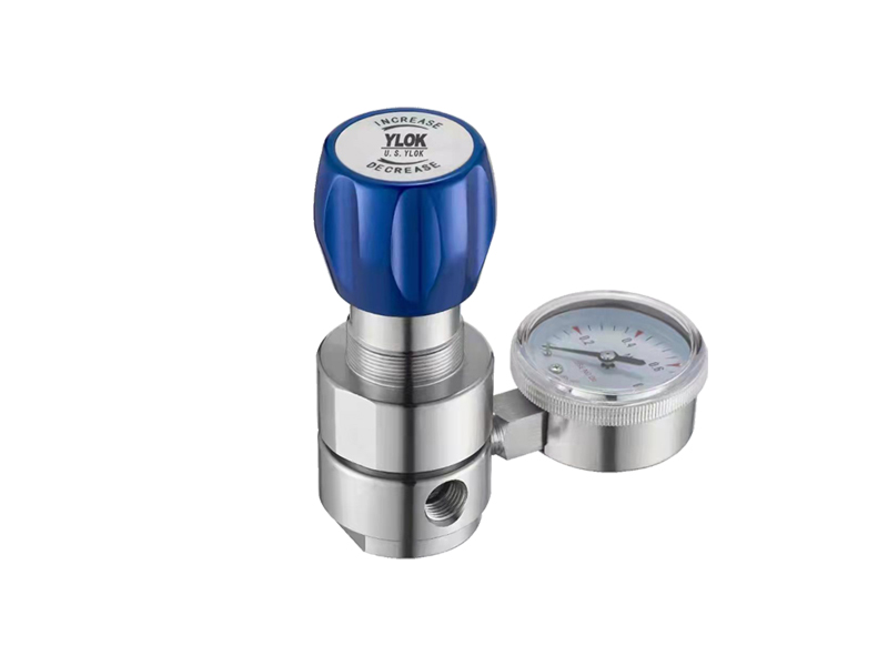 進口高純背壓閥