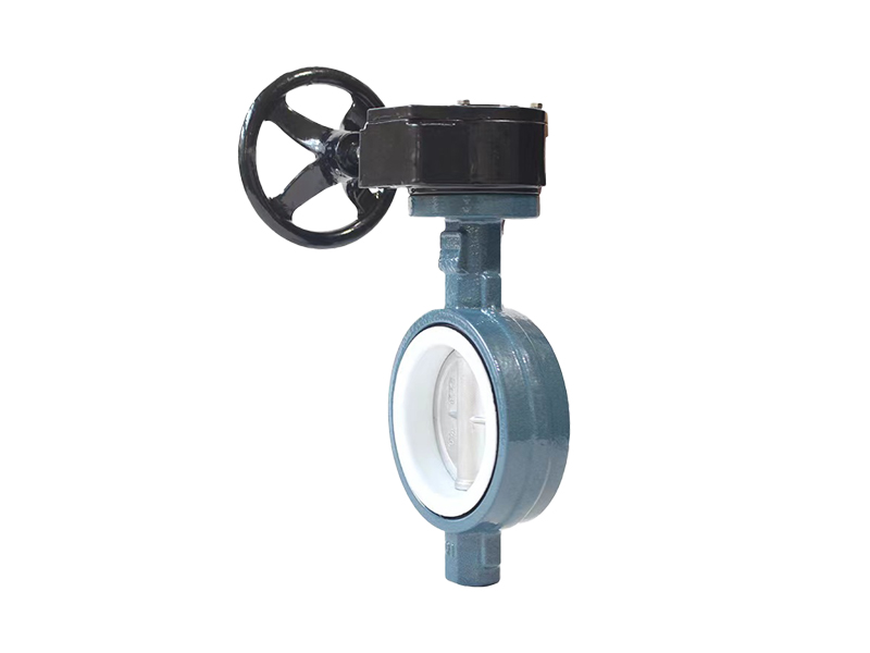 進(jìn)口襯氟蝶閥