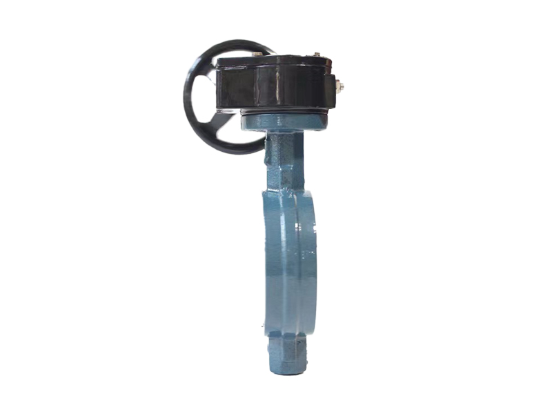 進(jìn)口襯氟蝶閥