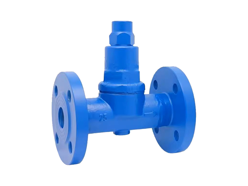 進口波紋管式蒸汽疏水閥