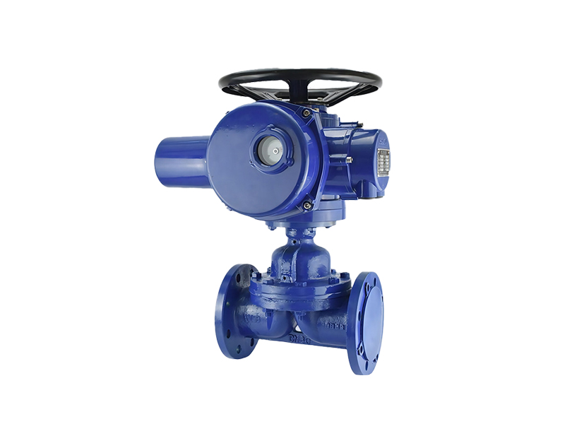 進(jìn)口電動隔膜閥