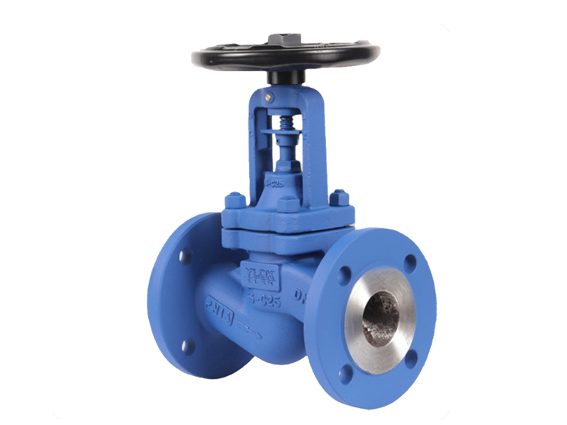 進(jìn)口蒸汽截止閥