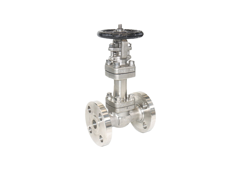 進口鍛鋼波紋管截止閥