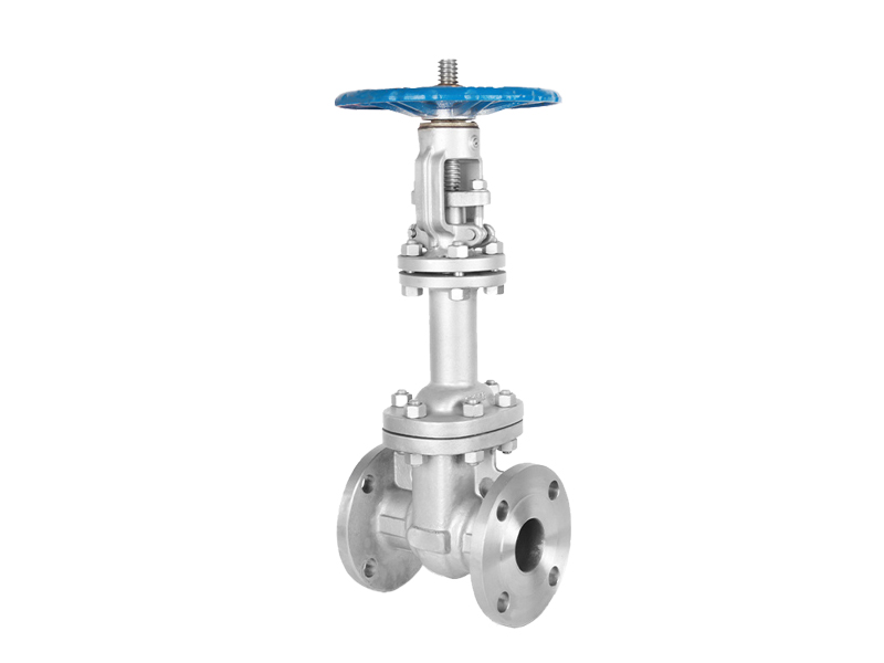 進口波紋管閘閥