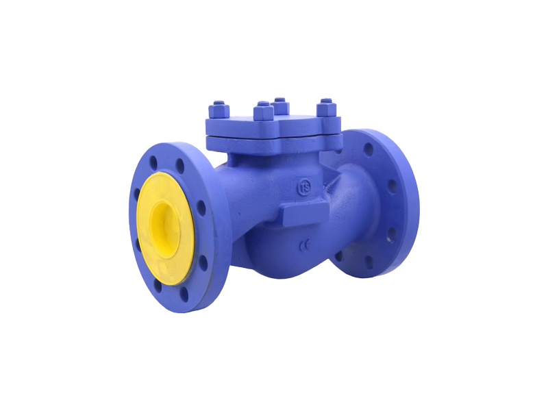 進(jìn)口蒸汽止回閥